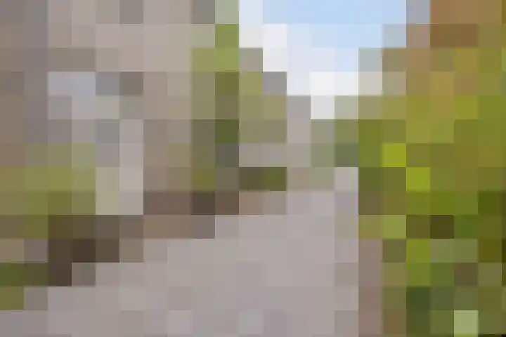 Mackayhof 11 Rijen thumbnail 6