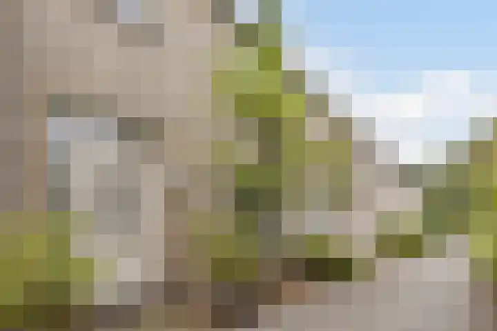 Mackayhof 11 Rijen thumbnail 7
