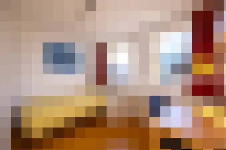 Mackaylaan 25 Doetinchem thumbnail 31