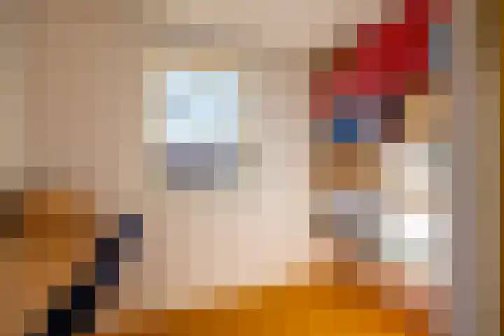 Mackaylaan 25 Doetinchem thumbnail 37