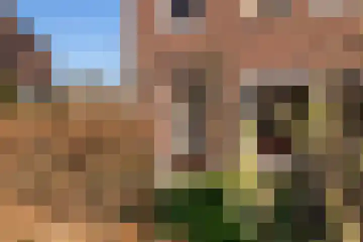 Mackaylaan 25 Doetinchem thumbnail 47