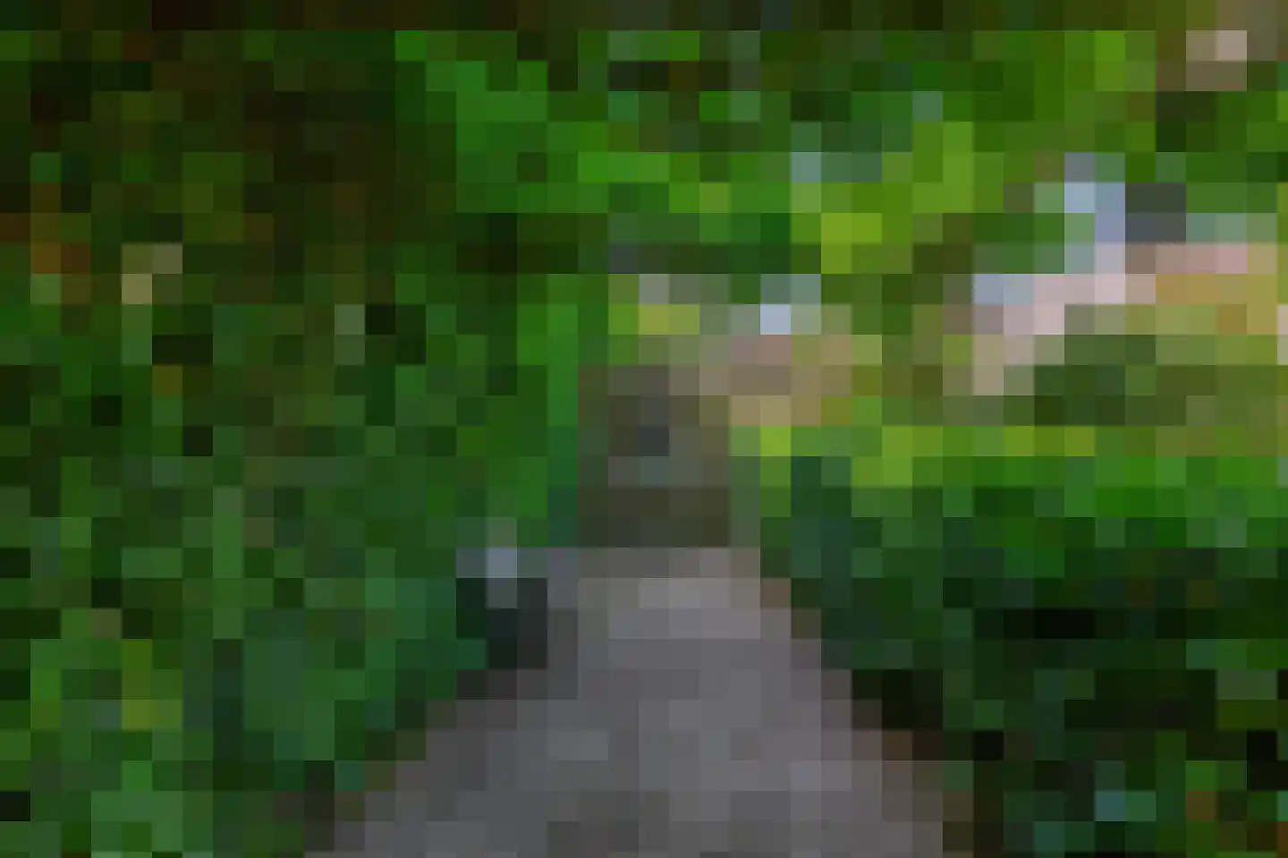 Mackaylaan 28 Eindhoven thumbnail 35