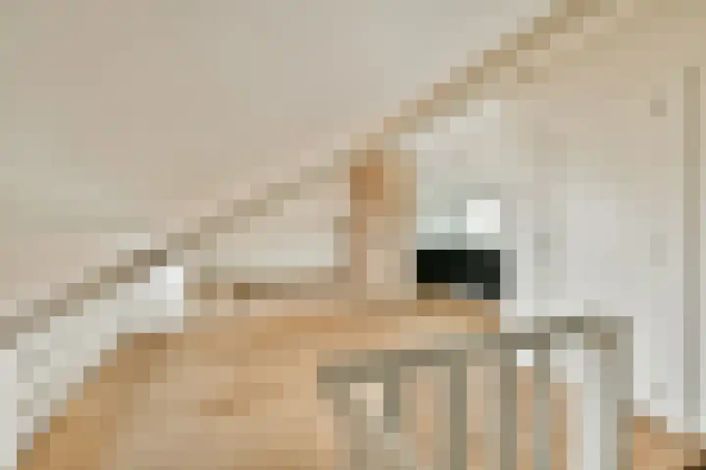 Mackaylaan 38 D Naarden thumbnail 5