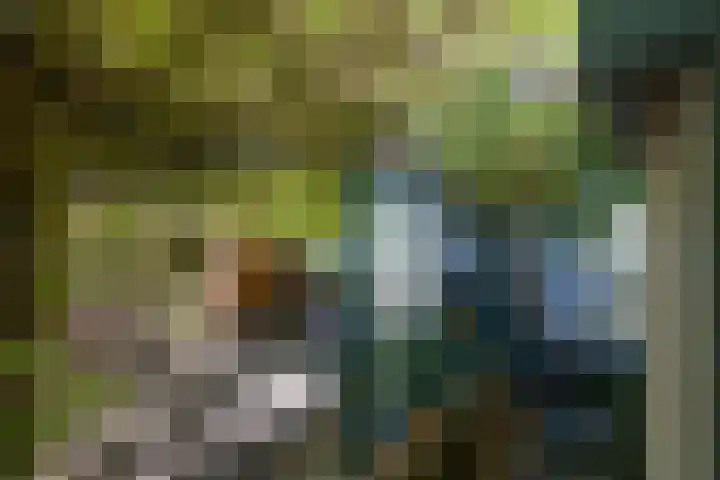 Mackaylaan 39 Doetinchem thumbnail 17