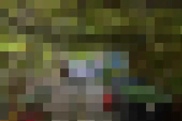 Mackaylaan 39 Doetinchem thumbnail 18
