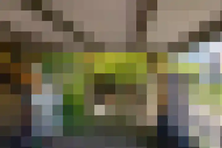 Mackaylaan 39 Doetinchem thumbnail 19