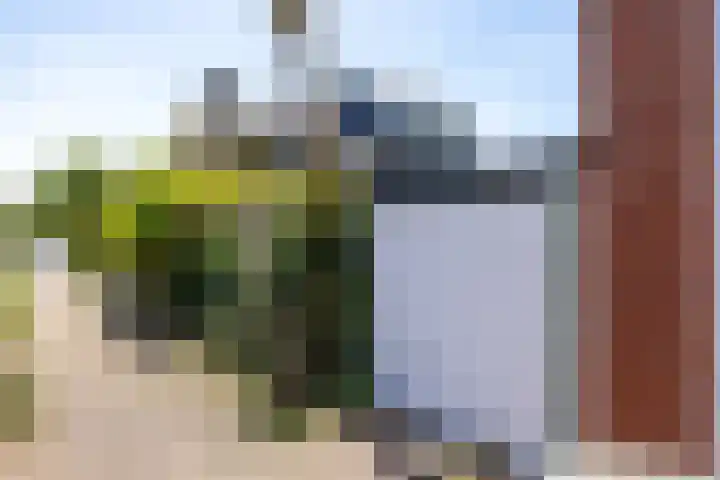 Mackaylaan 39 Doetinchem thumbnail 20