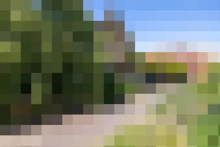 Mackaylaan 39 Doetinchem thumbnail 22