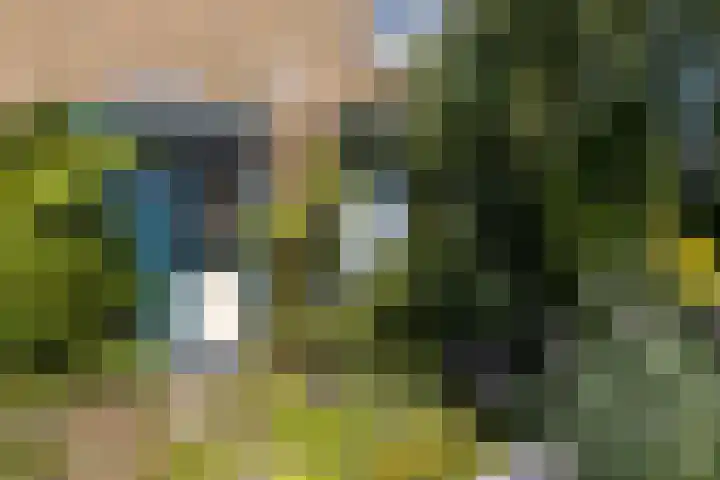 Mackaylaan 39 Doetinchem thumbnail 34