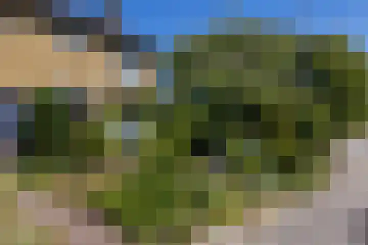 Mackaylaan 39 Doetinchem thumbnail 35