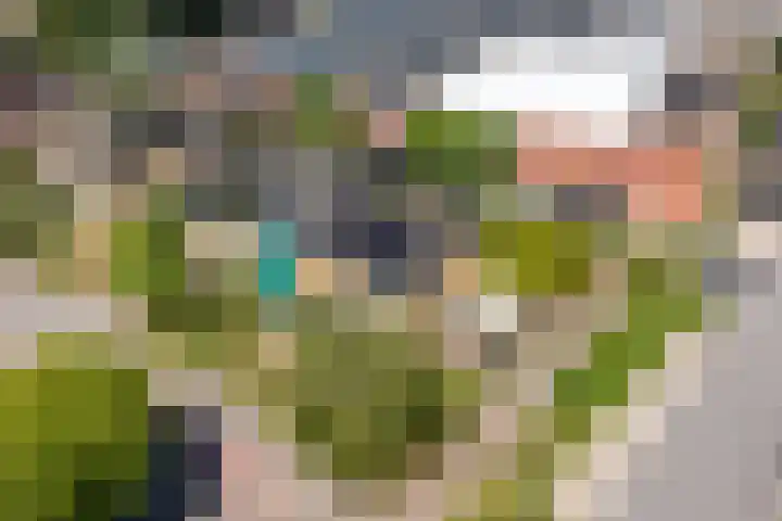 Mackaylaan 39 Doetinchem thumbnail 41