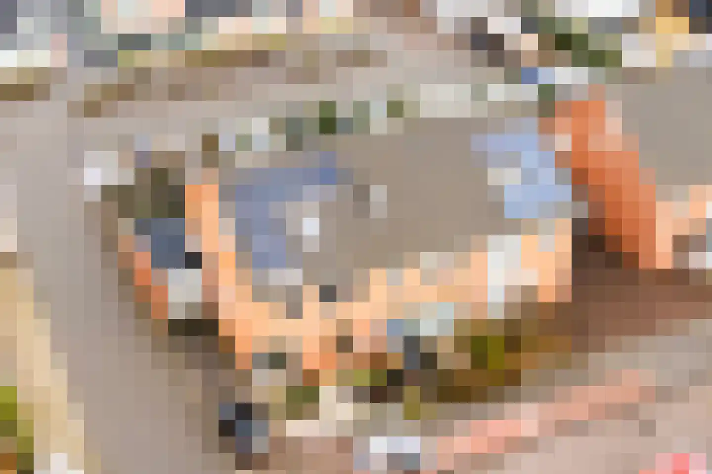 Mackaylaan 63 Doetinchem thumbnail 35