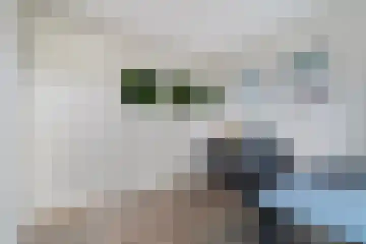 Mackaystraat 22 b Nunspeet thumbnail 23