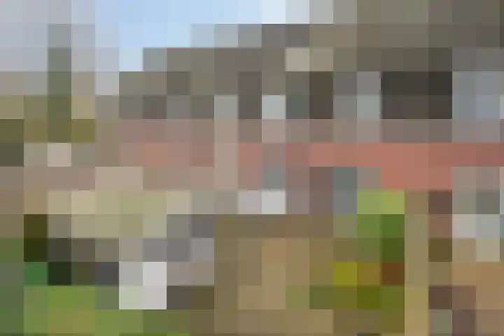 Mackaystraat 22 b Nunspeet thumbnail 32