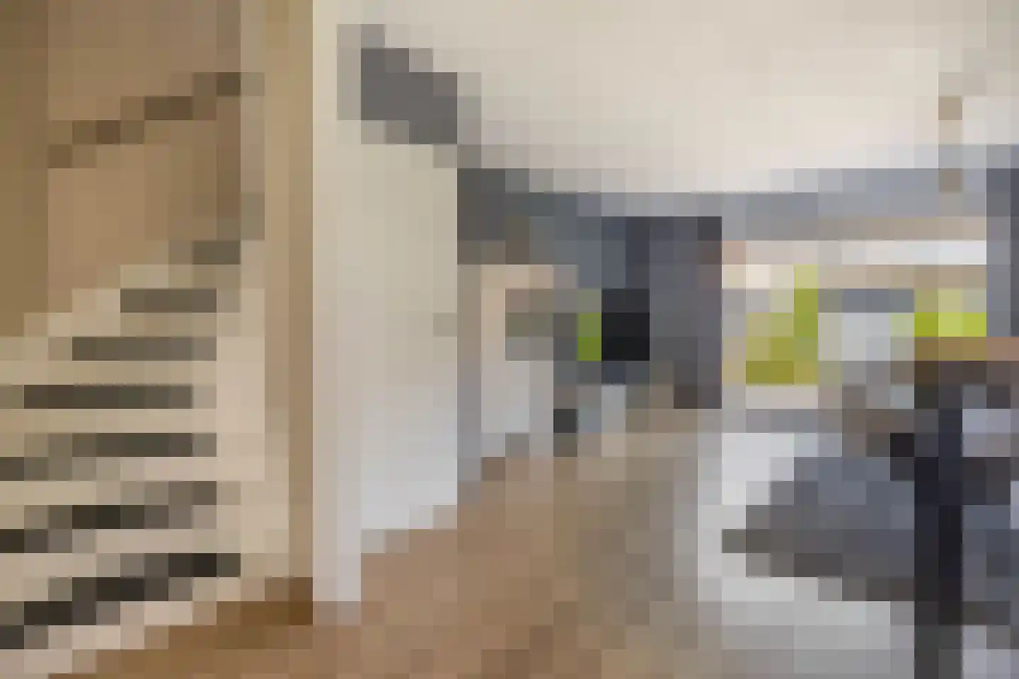 Mackaystraat 8 Spijkenisse thumbnail 10