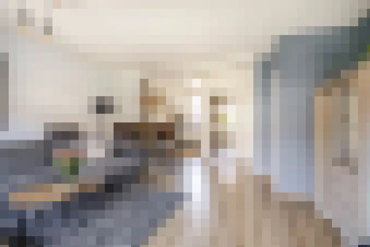 Mackaystraat 8 Spijkenisse thumbnail 14