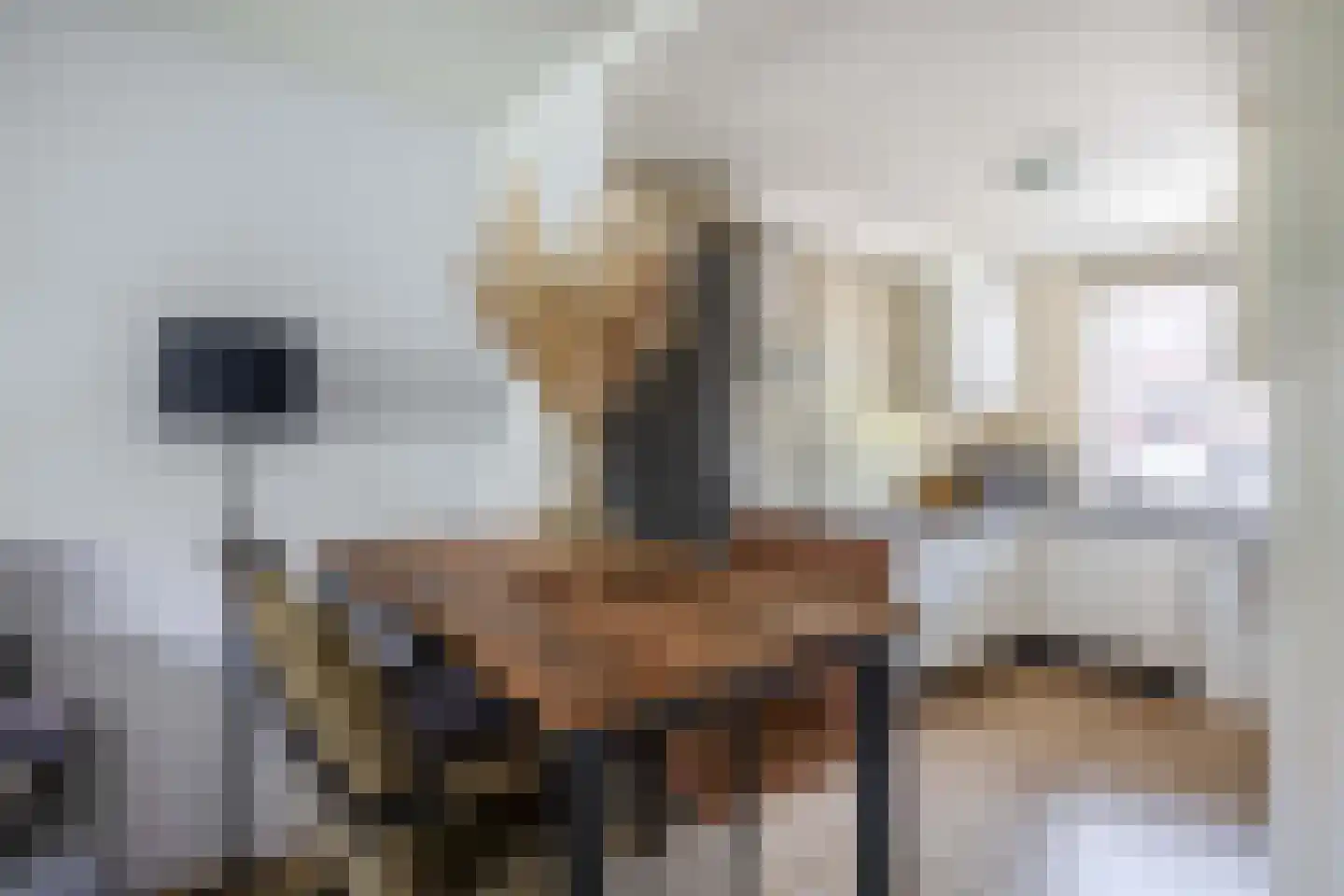 Mackaystraat 8 Spijkenisse thumbnail 15