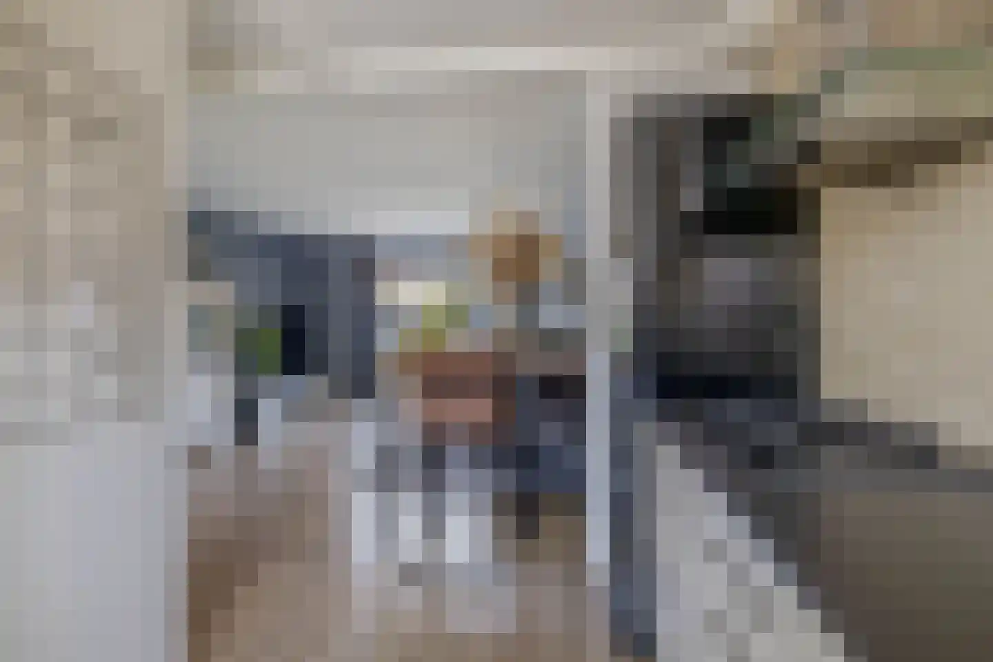 Mackaystraat 8 Spijkenisse thumbnail 18