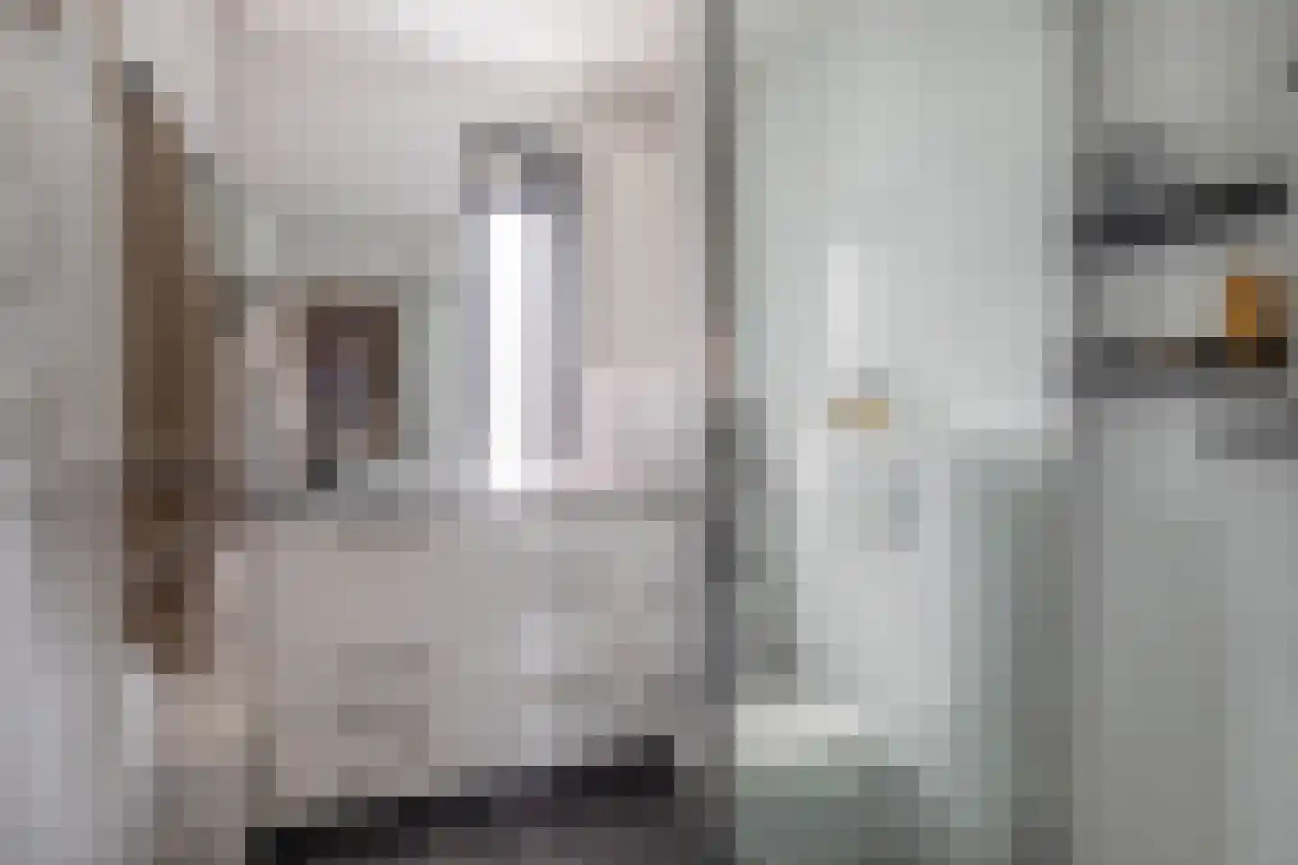 Mackaystraat 8 Spijkenisse thumbnail 24