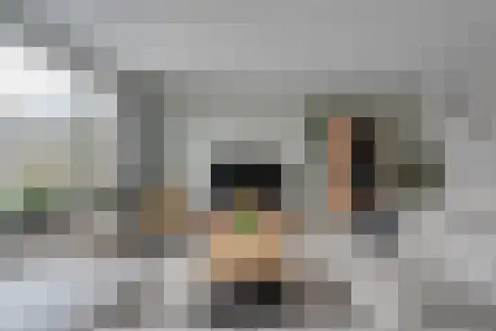 Mackayware 13 Zwolle thumbnail 10