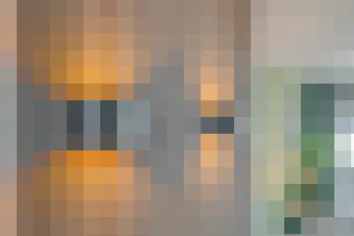 Mackayware 13 Zwolle thumbnail 13