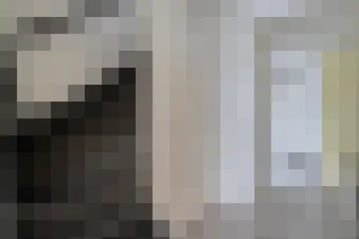Mackayware 13 Zwolle thumbnail 21