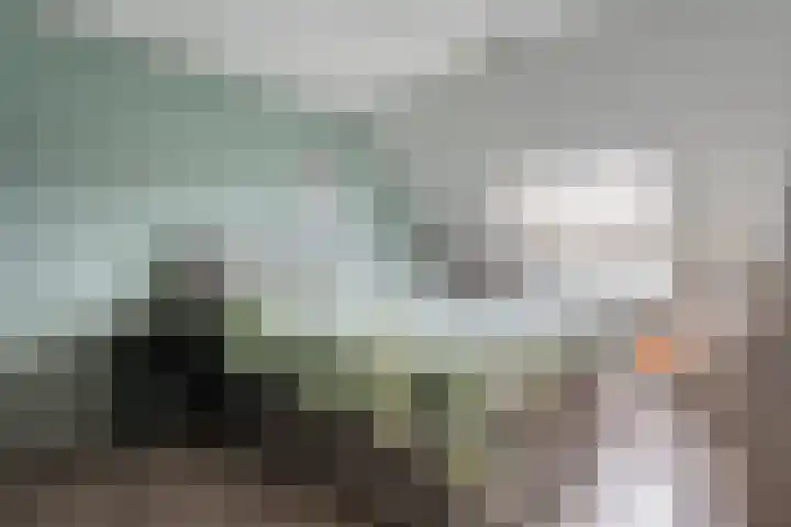 Mackayware 13 Zwolle thumbnail 23