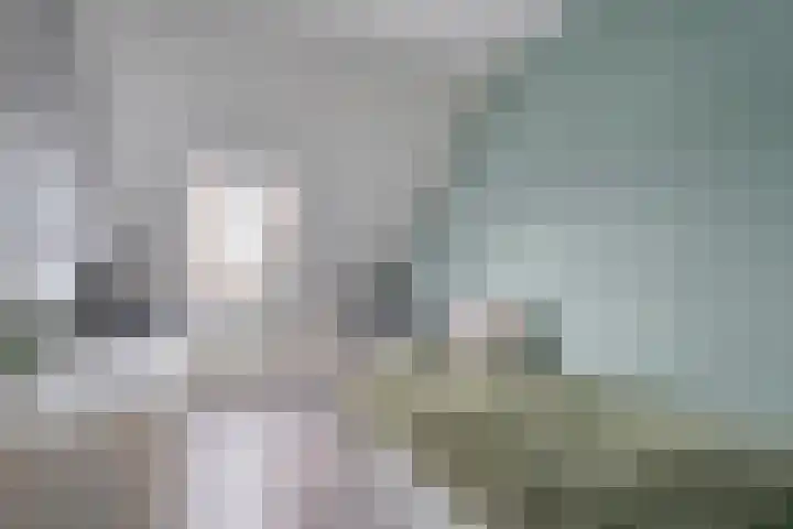Mackayware 13 Zwolle thumbnail 26