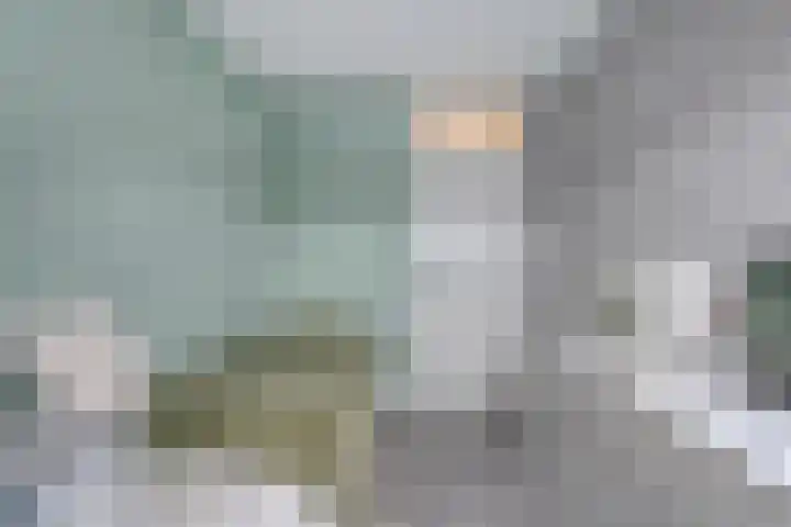 Mackayware 13 Zwolle thumbnail 27
