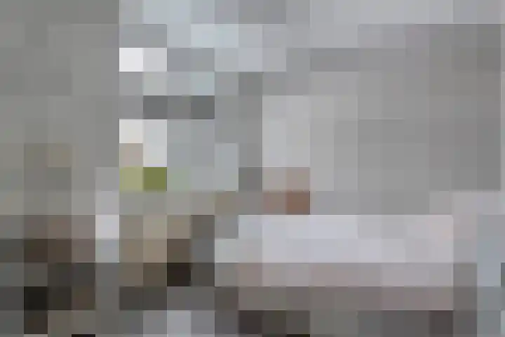 Mackayware 13 Zwolle thumbnail 28