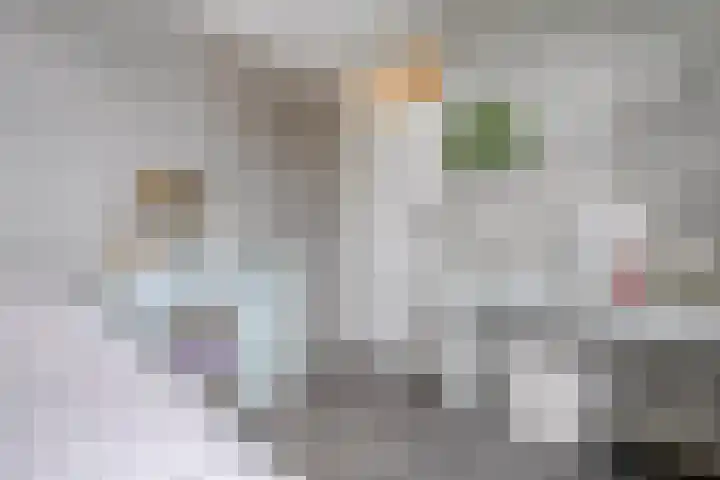 Mackayware 13 Zwolle thumbnail 29