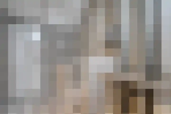 Mackayware 13 Zwolle thumbnail 30