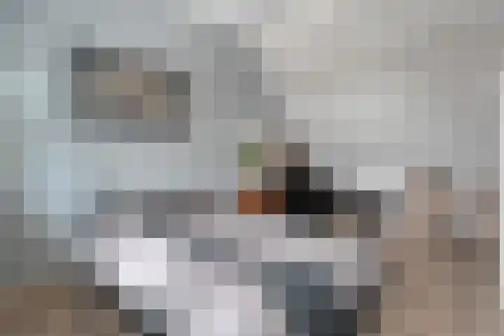 Mackayware 13 Zwolle thumbnail 32