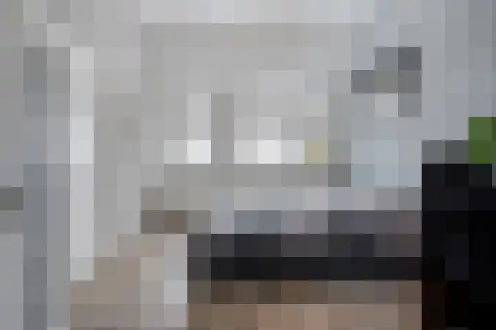 Mackayware 13 Zwolle thumbnail 33