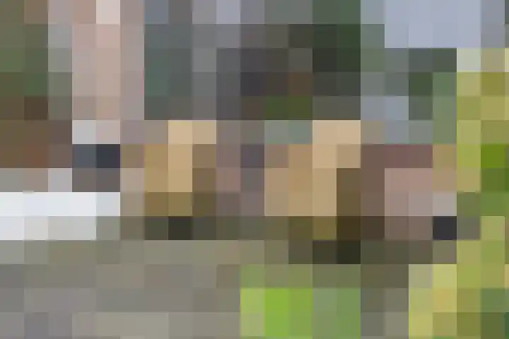 Mackayware 13 Zwolle thumbnail 36