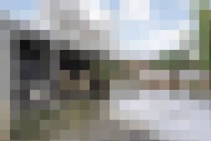 Mackayware 13 Zwolle thumbnail 37