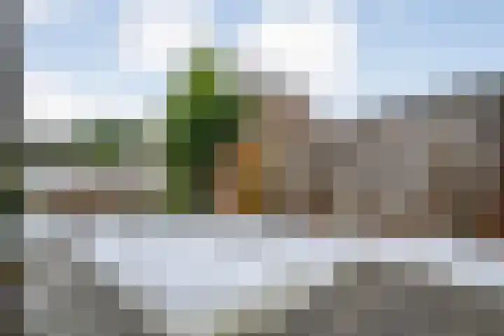 Mackayware 13 Zwolle thumbnail 38
