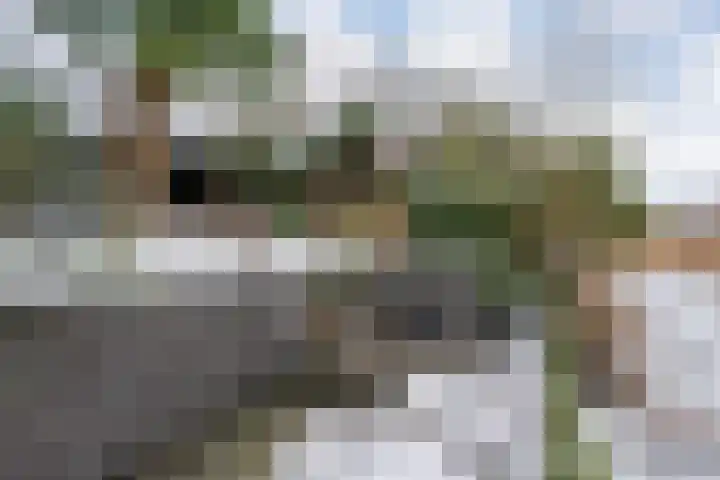 Mackayware 13 Zwolle thumbnail 39