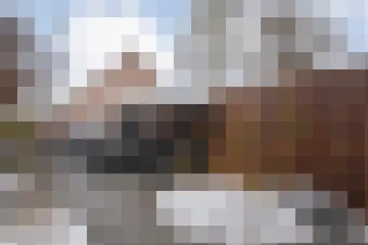 Mackayware 13 Zwolle thumbnail 42
