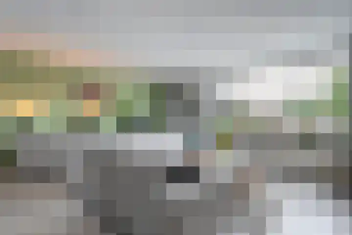 Mackayware 13 Zwolle thumbnail 5