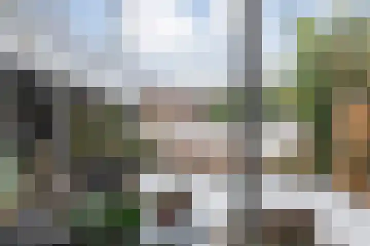 Mackayware 13 Zwolle thumbnail 8