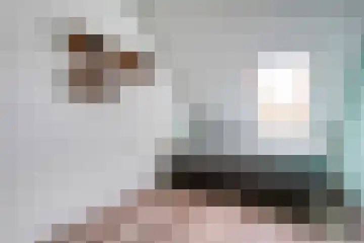 Mackayware 15 Zwolle thumbnail 17