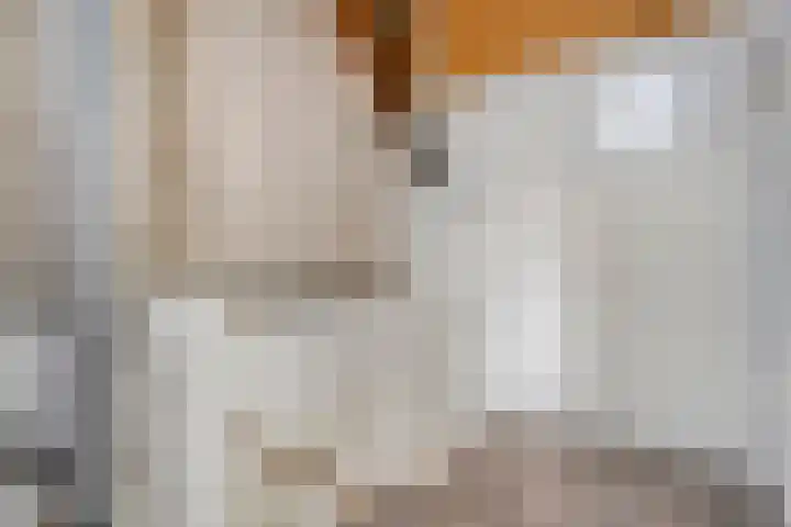 Mackayware 15 Zwolle thumbnail 23