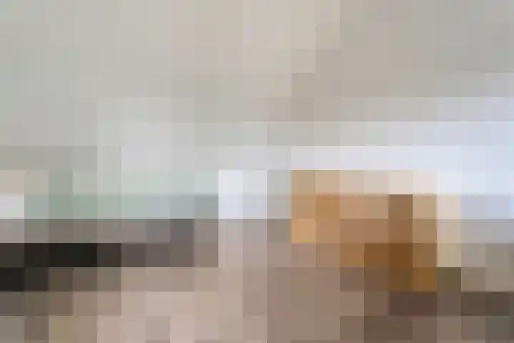 Mackayware 15 Zwolle thumbnail 24
