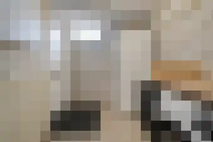 Mackayware 15 Zwolle thumbnail 27