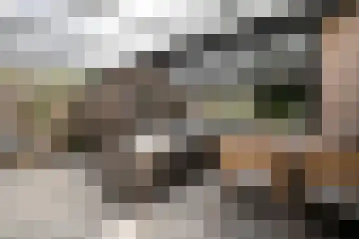 Mackayware 15 Zwolle thumbnail 29