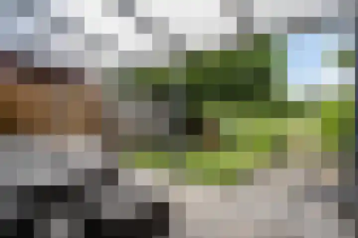 Mackayware 15 Zwolle thumbnail 30