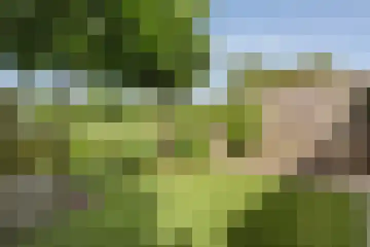 Mackayware 15 Zwolle thumbnail 33