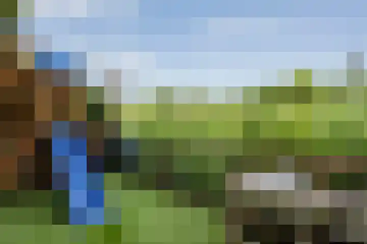 Mackayware 15 Zwolle thumbnail 34