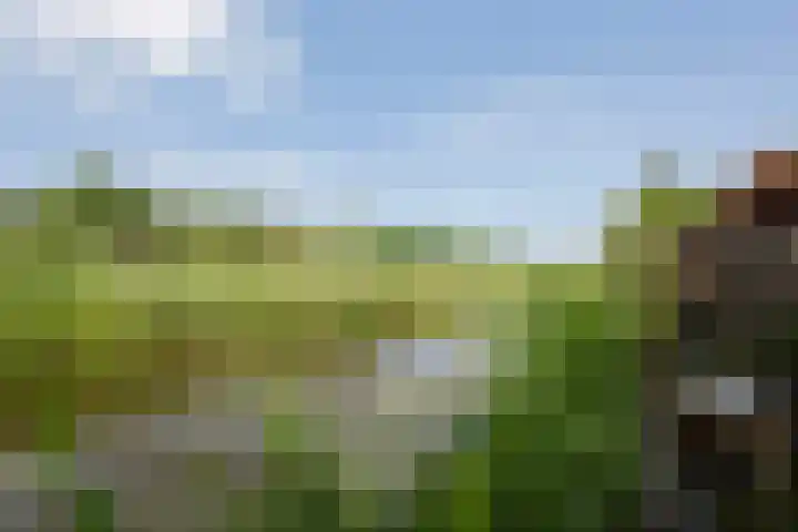 Mackayware 15 Zwolle thumbnail 35